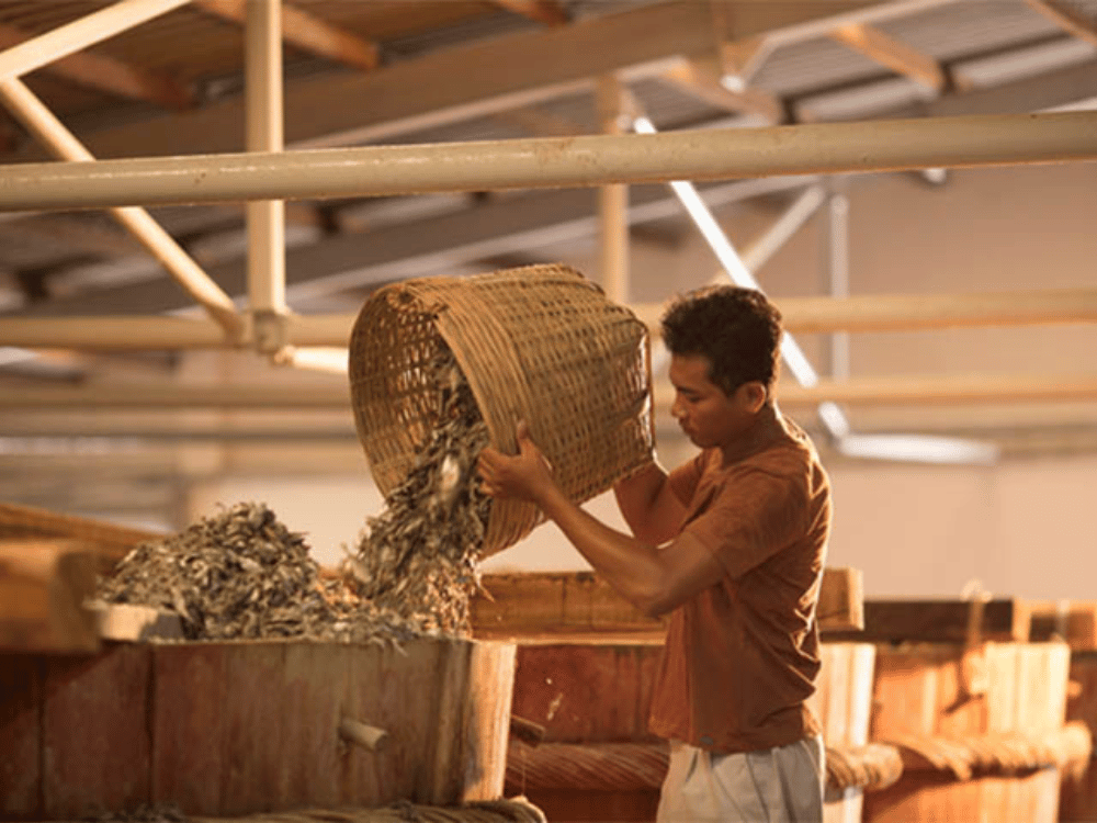 Kiểm tra thành phần